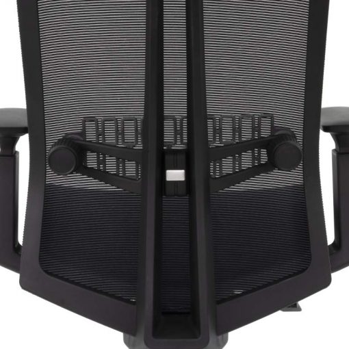Ergonomiczny fotel biurowy Ergosolid Nario-300 czarny